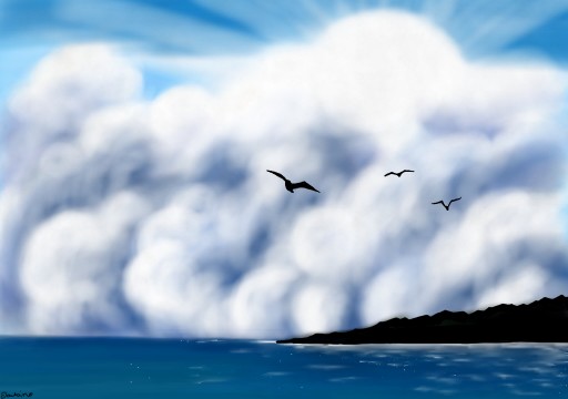 Sea #landscape #sea #seagull #clouds