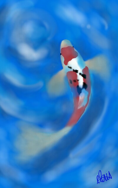 #carpkoi#koi#fish#japanese#drawing#sketch#sonysketch