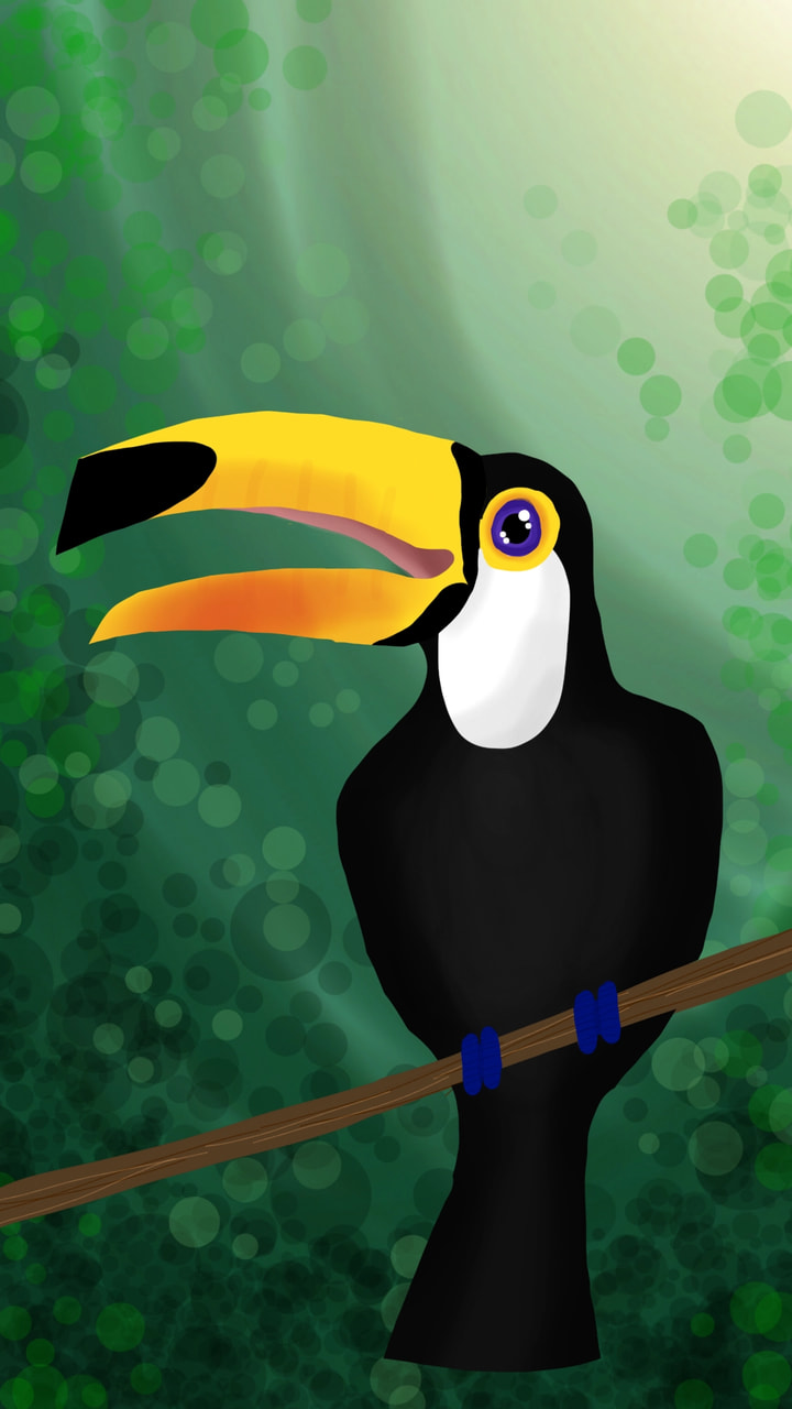 A toucan! #animalchallenge #fridayswithsketch #toucan