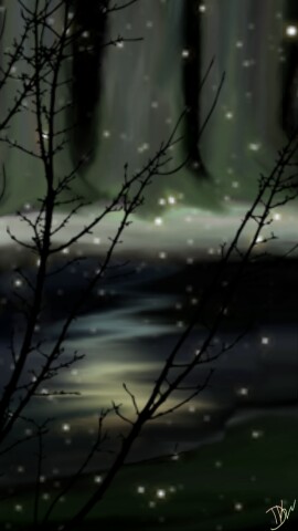 #thanks#forest#night#luz #green #darkness