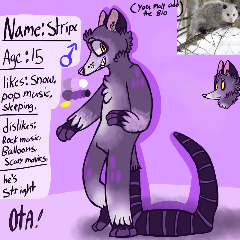 He was gonna be a dog but i changed my mind he's up for adoption he's a ota you may add the bio if you want #myadoptable #fridayswithsketch #Adoptable #opossum 《 taken 》