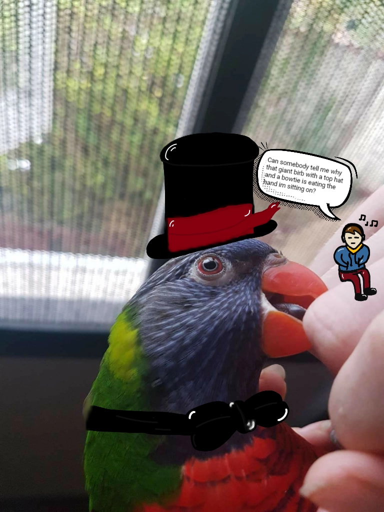 [Edit: i didn't expect this at all but thankyou so much this is really cool! 😀💙] My bird eating my fingers xD #fridayswithsketch #PhotoChallenge