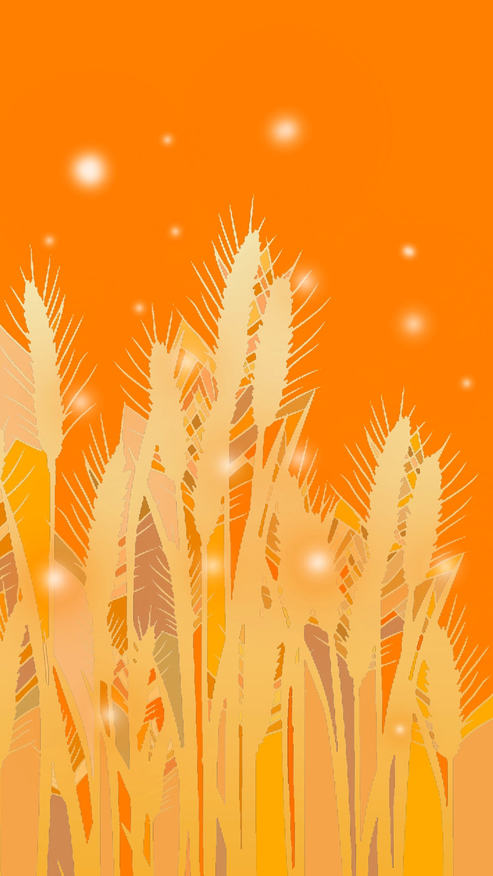 「麦畑」 #Wheatfield #orangechallenge #colorweek #fridayswithsketch