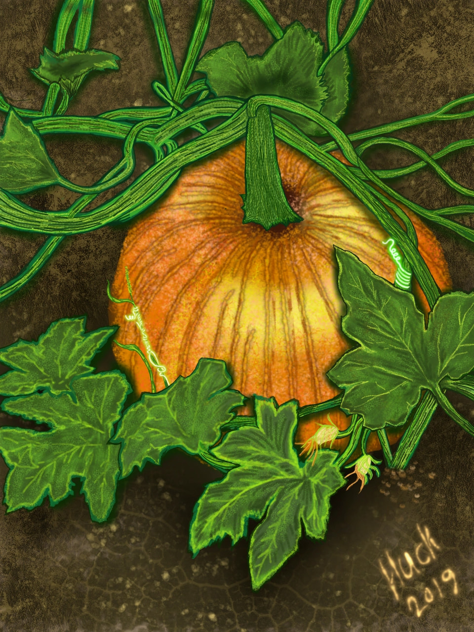 The cool part about this earth....last year I left a pumpkin to be exposed to the elements and in the spring it came back to life with others to follow. #fridaysforfuture #fridayswithsketch #thegreatpumpkin #Plant #100PercentSketch #hucksart
