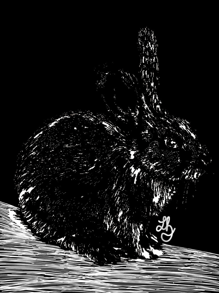It tooks me a long time...😪 #Animal #animals #Rabbit  #blackandwhite #Black 🐇🐰💓💖   #sonysketch #sketch #fridayswithsketch #scribble ‪@sonysketch‬  😘 Thanks soo much to get featured😍😄😄😄😄😄😄😄😄😄😄🐇🐰