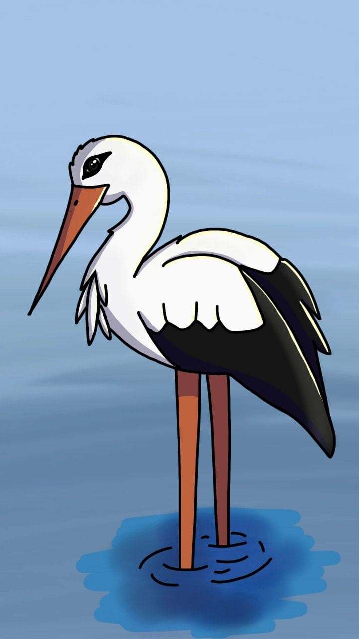 Lithuania's national bird, the white stork #fridayswithsketch #mycountry