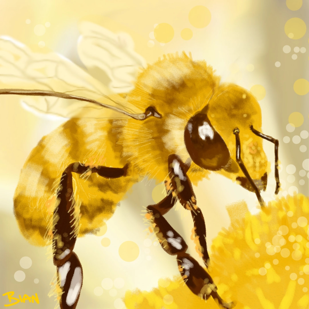 A quick lil bee on a dandelion for #colorweek #yellowchallenge 😊💛 #bee #100PercentSketch ⚪edit: thank you all so much for the likes and comments! 😄
