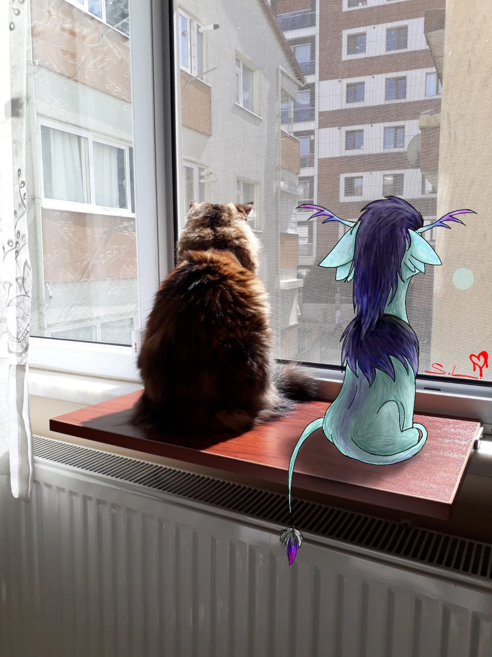 My oc puffy and my aunt's IDIOT cat pırtik looking at street😂 #photochallenge #fridayswithsketch #puffy #oc #petoc #fastsketch #cat #pırtik #auntscat #pofy my eleventh pic in featured