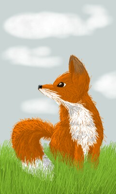 Little fox #animals