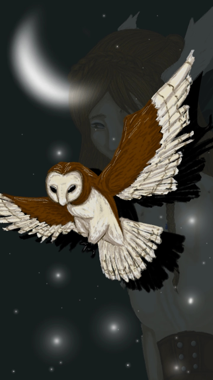 This oc can turn into a owl #owl #wings #night #stars #moon #fly. #myelement #fridaywithsketch #air (because air and wind also exist at night, and owls fly so it can represent an element, right ?) #shironeoc