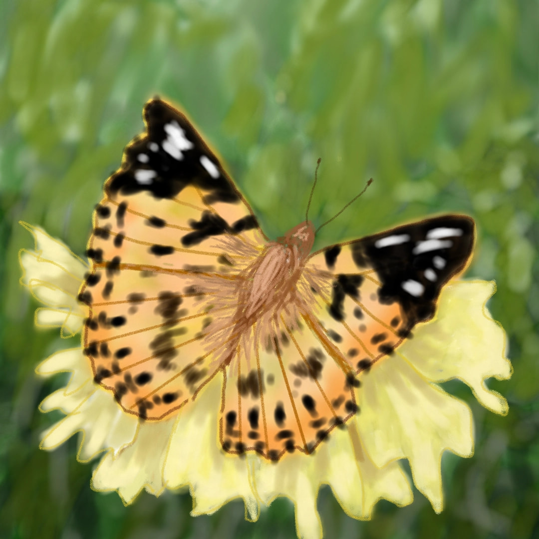 #spring #springchallenge #butterfly #sketch #garden #flower #green #orange #black #yellow