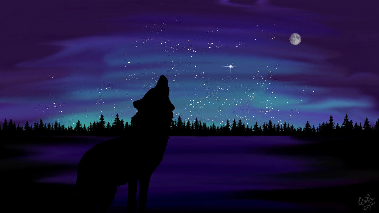 More stickersss!!!✨ #Wolf #night #stars #Space #silhouette #силуэт #звезды #Ночь #волк #космос