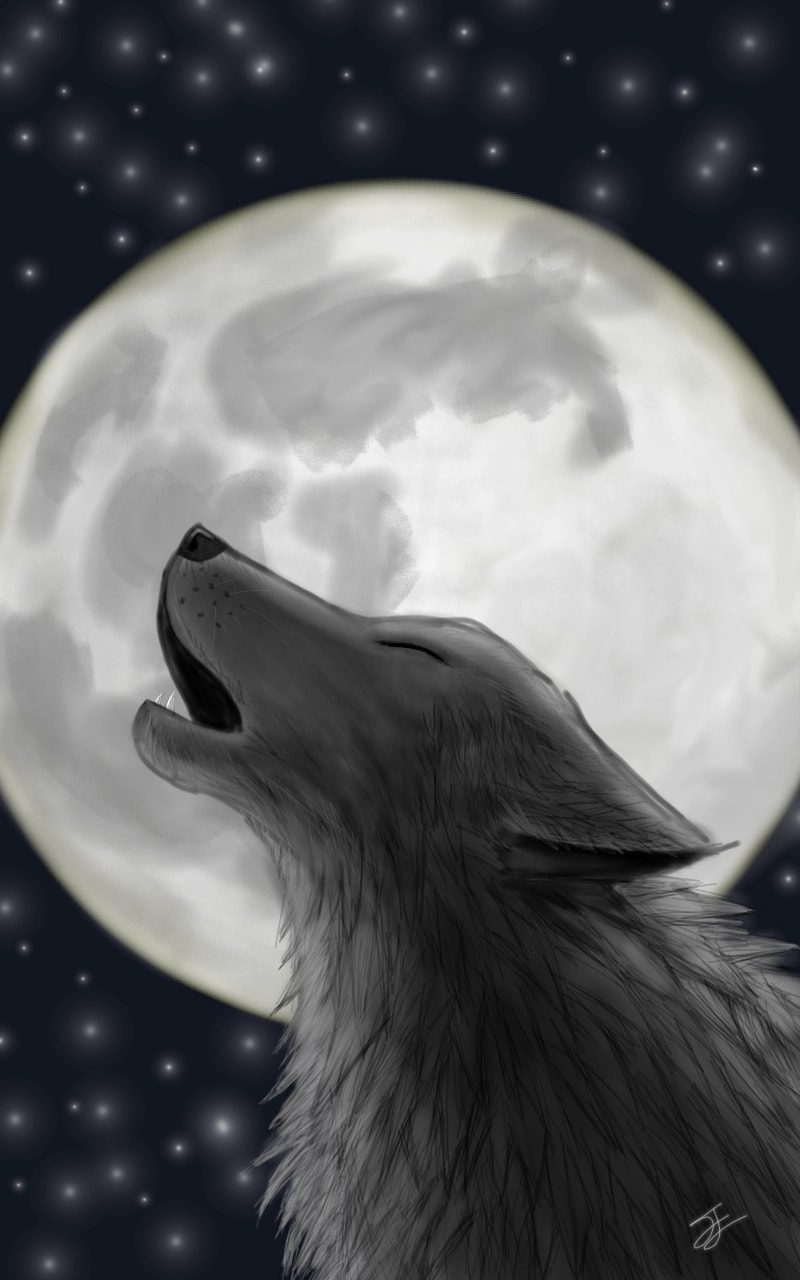 I might doodle another animal for this challenge, just have to figure out what animal i should do. #wolf #moon #animalchallenge #fridayswithsketch