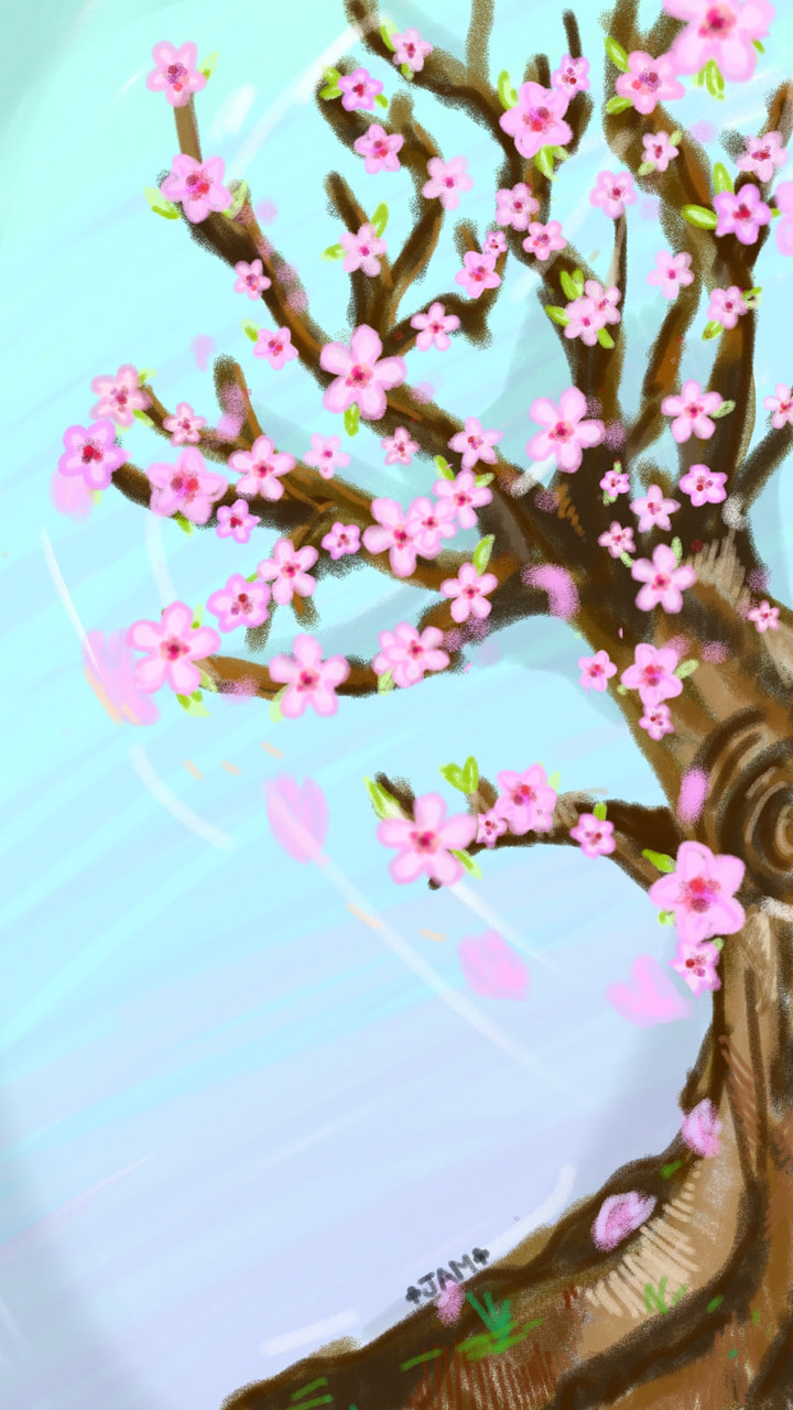 #sakura #tree #springchallenge 🦄🌸💮🏵🌹 #fridayswithsketch  Best time of the year🌌 ‪@sonysketch‬