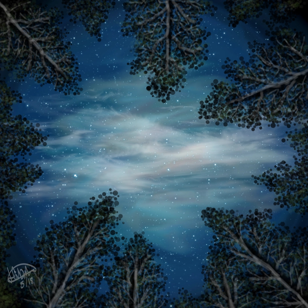 View of the nightsky in the forest 😍#naturechallenge #fridayswithsketch #sonysketch #night #forest #beautiful #foggy #nightsky #sky #nature #trees