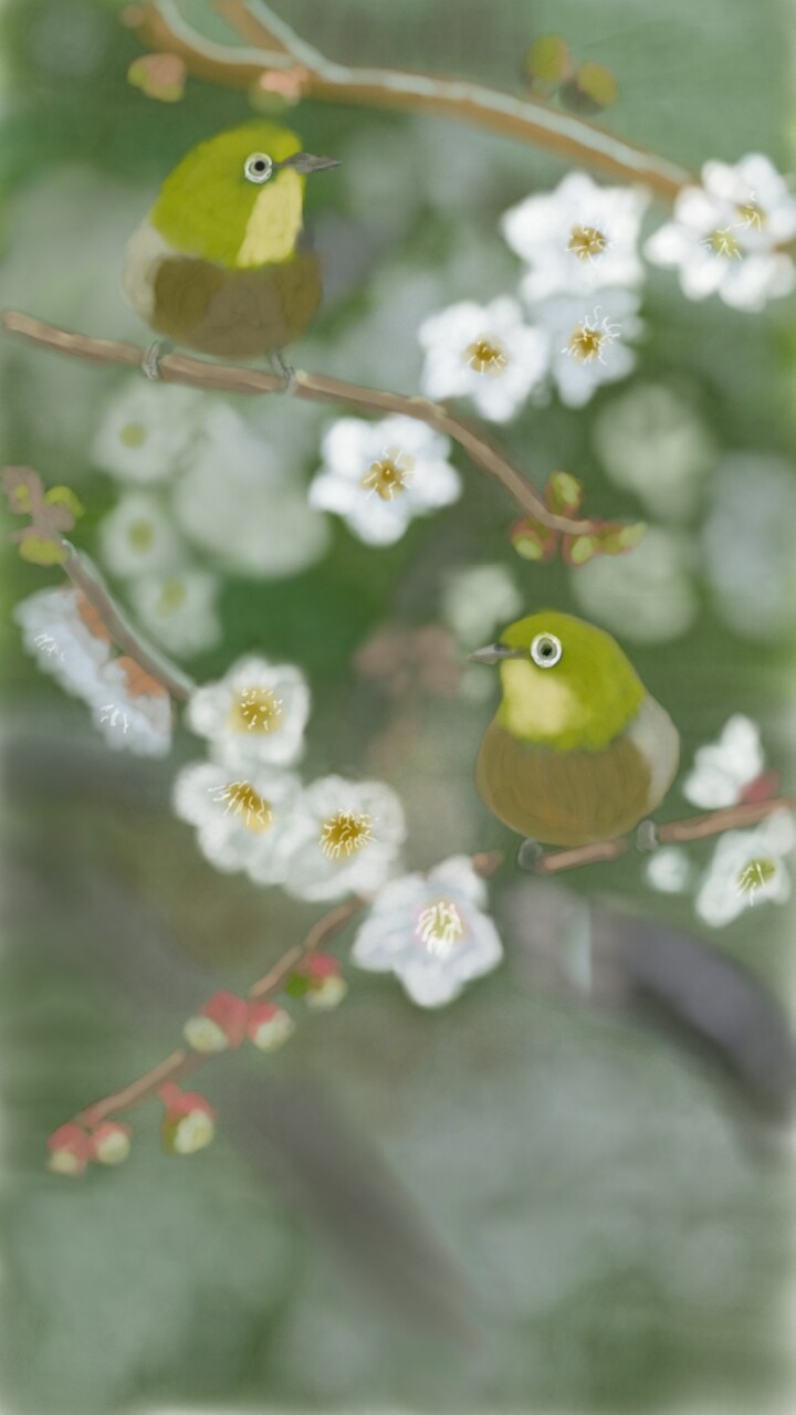 #small #green #bird #flower #nature #sonysketch