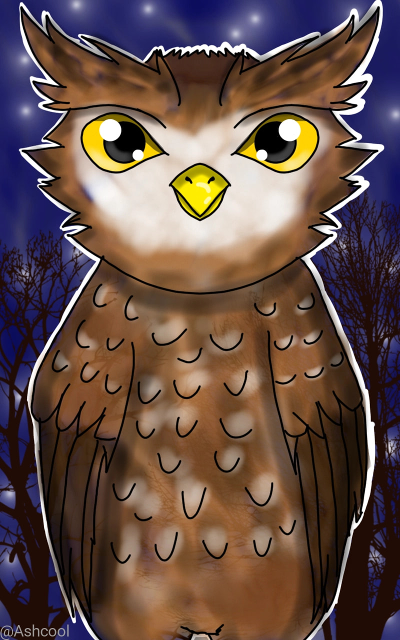 #animalchallenge #fridayswithsketch I drew an #owl and I hope you guys like this!