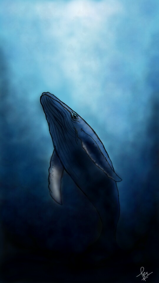 Whale #whale #sea #deep #blue #big #sonysketch ‪@sonysketch‬