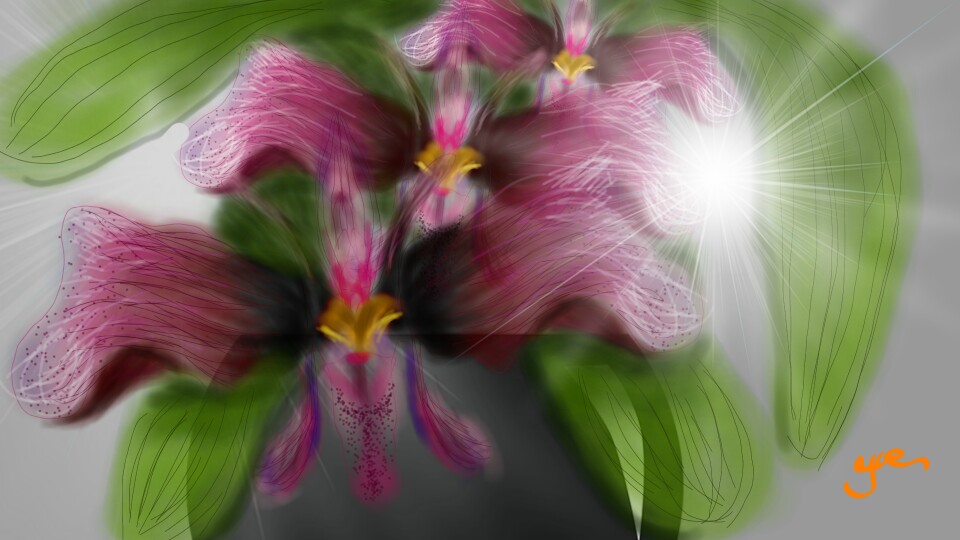 Orchid flowers for beautiful of girl ‪@amandalm‬.. I see she like to flowers #symmetrytool #yoe #sonysketch #fridayswithsketch