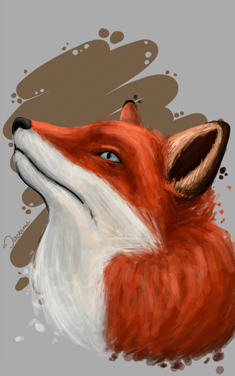 Fox #fox #Jackimo #red