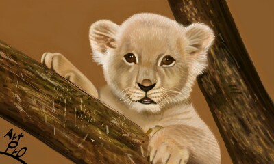 #Lion cub #Cute / App: Sony Sketch