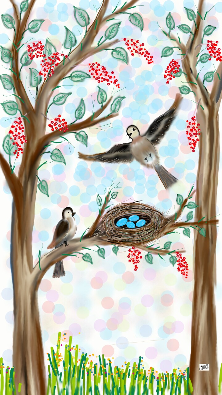 #Bird's #Nest ❤. #home.  #Amerkhan