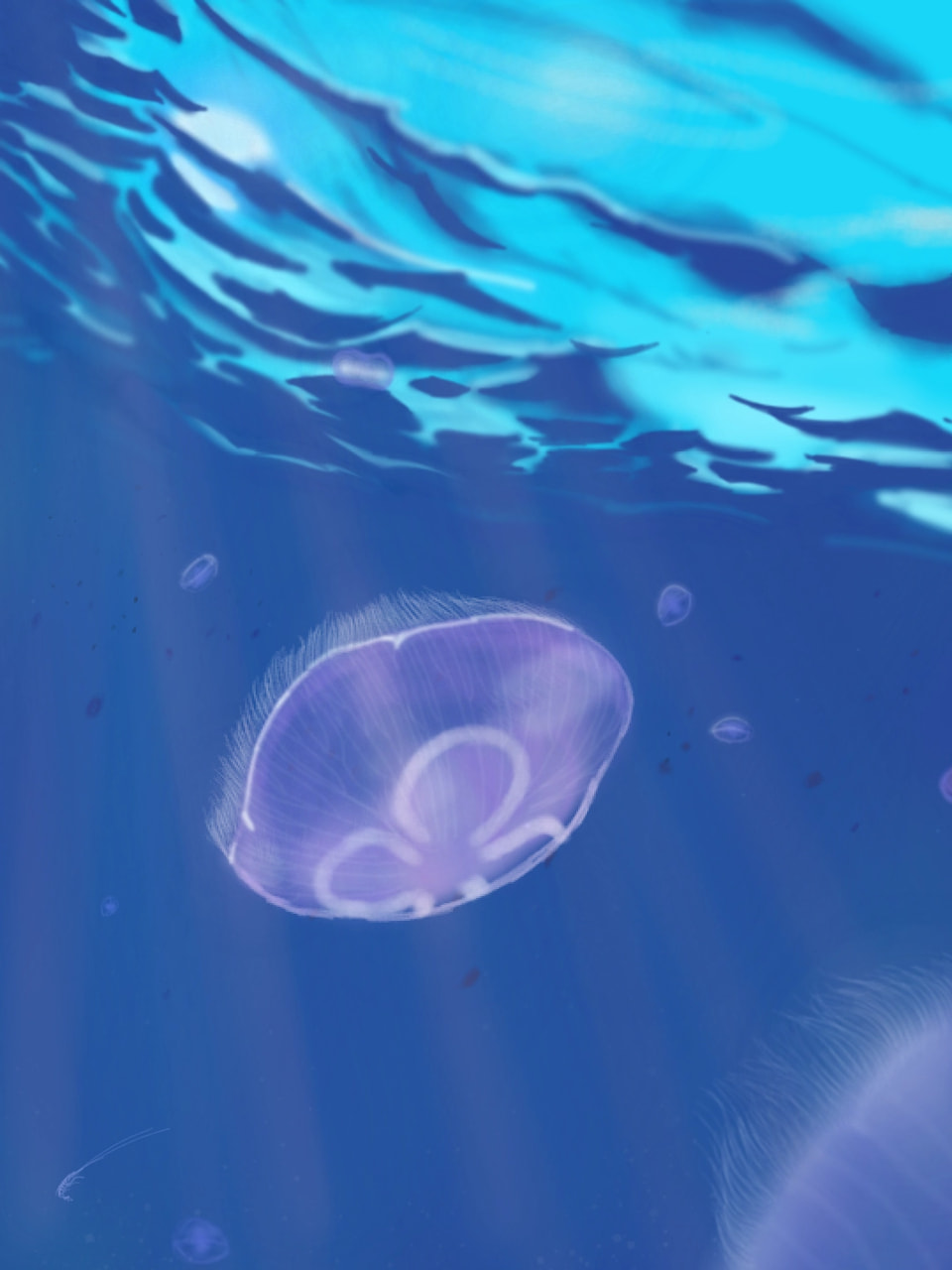 ‪@sonysketch‬ #fridaysforfuture #fridayswithsketch #jellyfish #ocean 🌊
