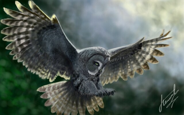 "Сова". Рисовала 4 часа с перерывами #owl
