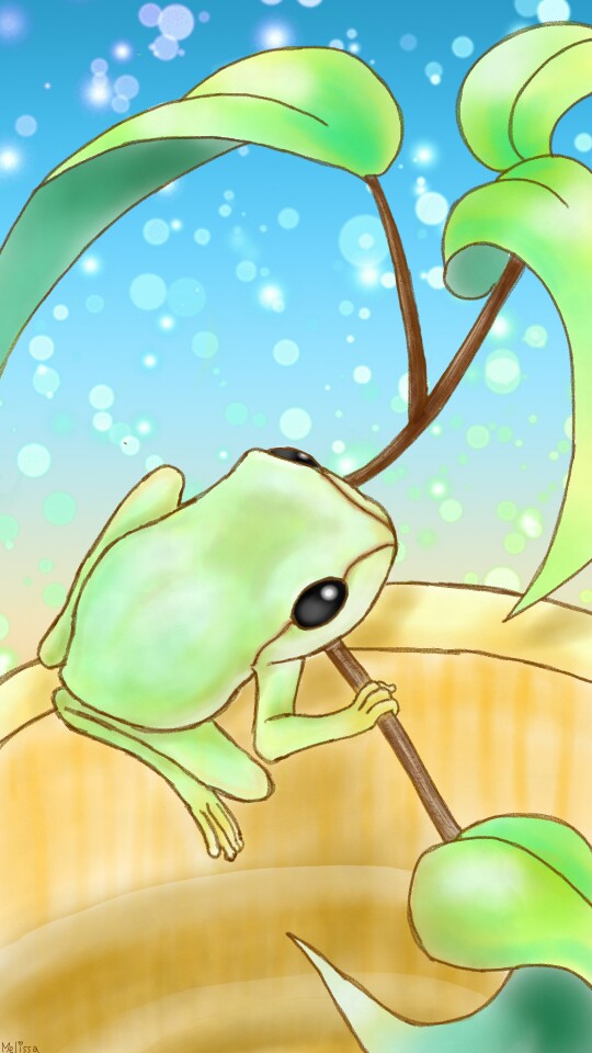 #pet  #frog #cute #kawaii #fridayswithsketch #myfavanimal My pet is a tree frog🐸 His(or her?)name is Chibisuke😊
