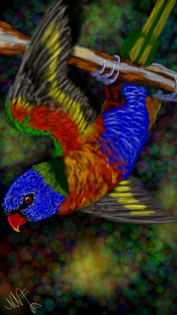 Rainbow lorikeet #fridayswithsketch #googleplay #parrot