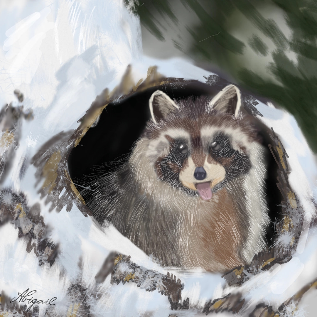 THANK YOU SO SO MUCH FOR THE FEATURE! ♥️☄ Raccoons make me happy! #betterday #raccoon #snow  #fridayswithsketch #100PercentSketch ‪@sonysketch‬