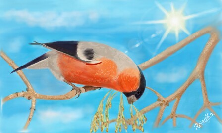 We already spring🌾, and I have a bullfinch showed up.. 😉