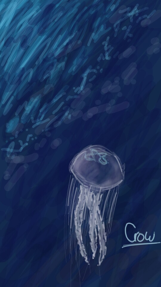 #water #jellyfish #sea ‪@Orhan_Kayacik‬