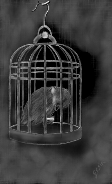 😢  #Bird #Sad #Cage