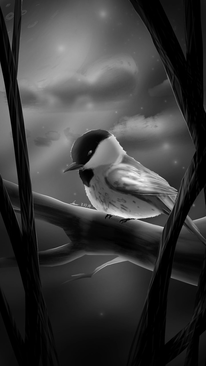 School year is ending so ima be more focused on work.. :)#fridayswithsketch #bird #blackandwhite #black #night #onecolor