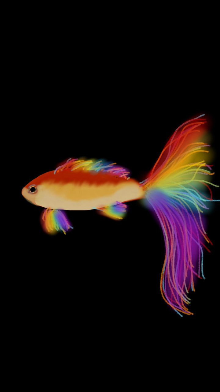 #RainbowChallenge #fridayswithsketch #sonysketch A Rainbow fish 🤗 Edit: Oh my Gosh. 1000 Likes! It seems so unrealistic. How could that happen to me 😱😍