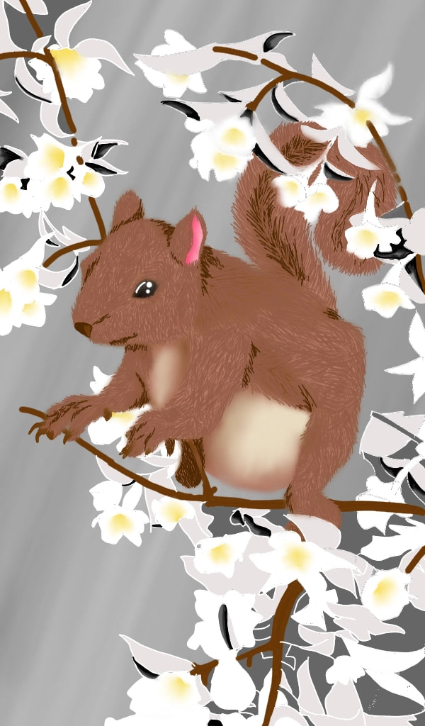 #fridayswithsketch #animalchallenge #Lovesquirrels ‪#squirrel ‪@gaganyaan22isro‬ RODENT BUT ANIMAL...♥ ♥ ♡ ♡ ♥ ♥ ♡ ♡ ♥ ♥ My Jewel, my pet squirrel, my lucky charm.... miss him a lot.. that's why I drew this..♡♡♥♥♥♡♡♡♥♥♥♥♡ #jewel