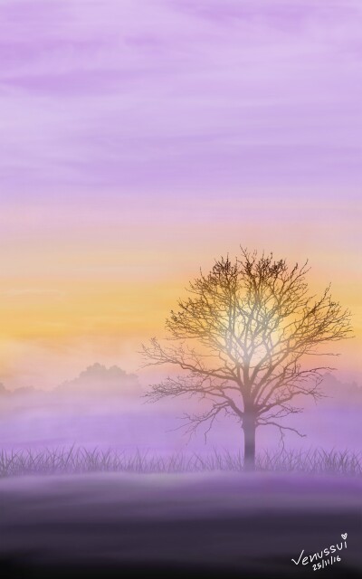 The #Fog, #sunrise #landscape