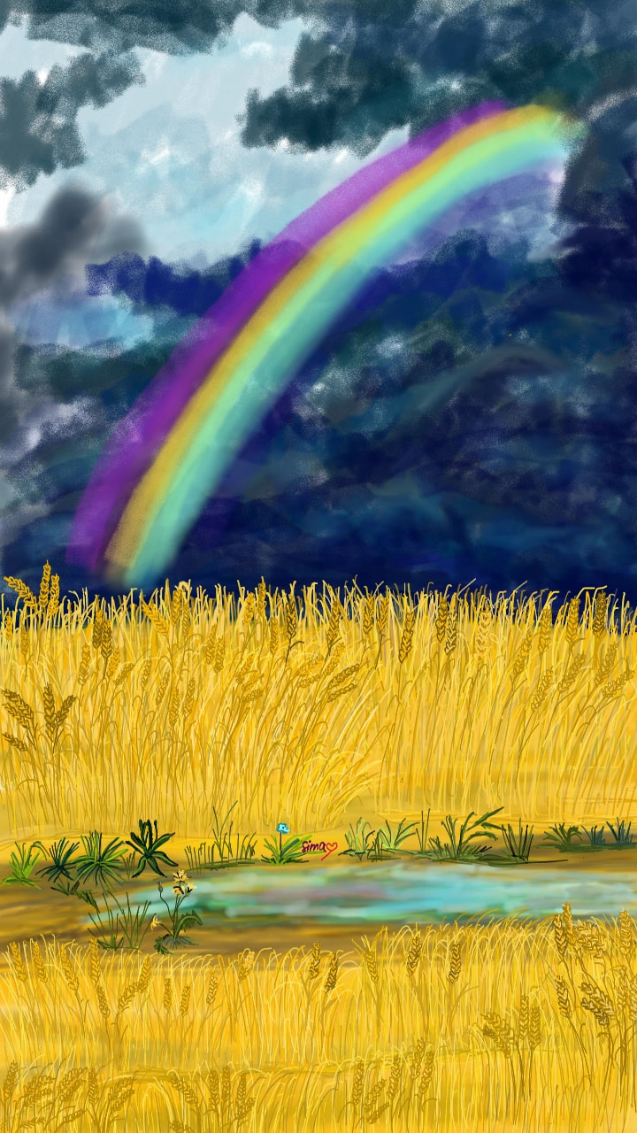 Landscape. After the rain, the wheat is golden. Completed step 2. #sketch #sonysketch #fridayswithsketch #rainbow #flowers #sky 🌾🌾🌾 #landscapechallenge #landscape