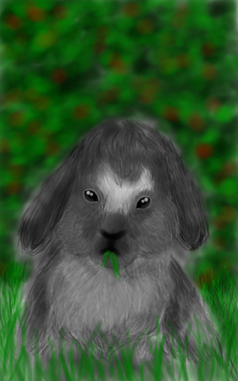 Fluffy bunny #animalchallenge #fridayswithsketch