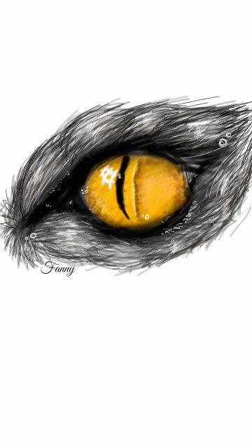Fast eye sketchhh ✏ #eye #animal #orange #black